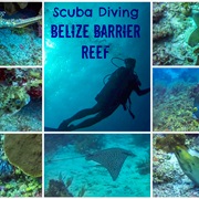 Snorkle/Dive Any Part of the Belize Barrier Reef System