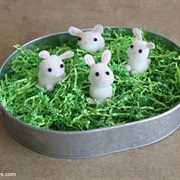 Four Bunnies in a Bin