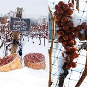 Niagara Ice Wine Festival