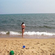 Joseph Sylvia State Beach, Oak Bluffs, Martha's Vineyard, MA