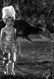 A Midsummer's Night Dream