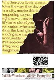 Splendor in the Grass (Elia Kazan)