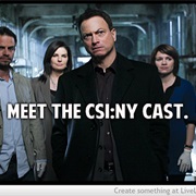 Meet the CSI New York Cast