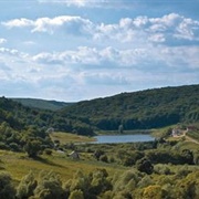Codru Nature Reserve