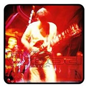 Paul Weller - Live Wood