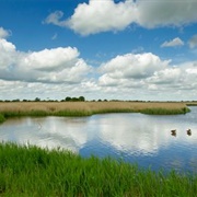 Otmoor