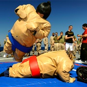Wrestle in a Sumo Suit