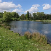Natuurpark Overmeers