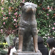 Hachiko Statue