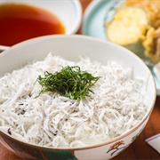 Shirasu Don (Little Fish on Rice)