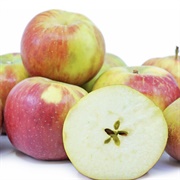 Baldwin Apple - Colonel Loammi Baldwin