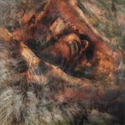 Converge - Unloved and Weeded Out