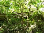 Devil's Millhopper (Florida)