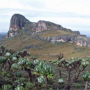 Mt Elgon, Kenya