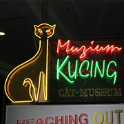Cat Museum