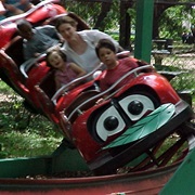Live Oak Ladybug - New Orleans City Park