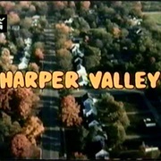 Harper Valley PTA