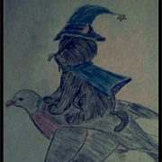 Cat Witch on Pigeon