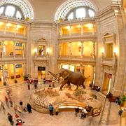 The Smithsonian Museum