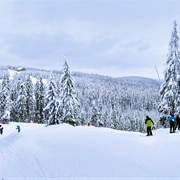 Romme Alpin