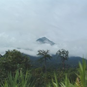 Mount Cameroon