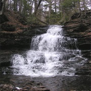 The Glens Natural Area