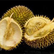 Durian