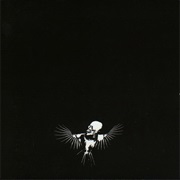 Legacy of Hopelessness - Fuck the Facts