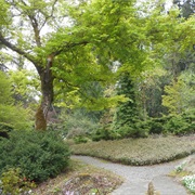 Chase Garden (Orting, WA)