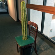 Cactus Chair
