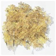 Bloodbuzz Ohio - The National