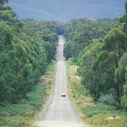 South East Forest National Park (NSW)