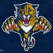 Florida Panthers