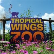 Tropical Wings Zoo