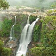 Budderoo National Park (NSW)