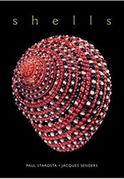 Shells (Paul Starosta)