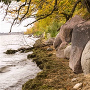 Lake Bemidji State Park