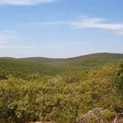 Mt. Frissell, Connecticut