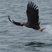 Isle of Mull, Scotland