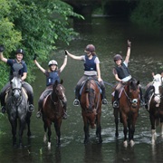 Riding Camp
