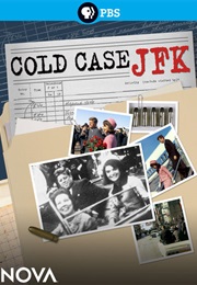 Cold Case JFK (2013)