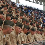 Attended Game in the 2010's