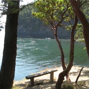 Jarrell Cove State Park (Harstine Island)