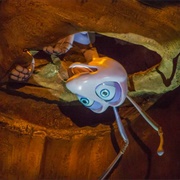 It's Tough to Be a Bug