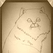 Persian  Cat Angelina Jensen