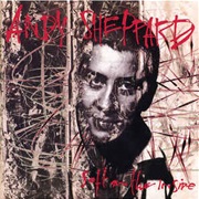 Andy Sheppard ‎– Soft on the Inside