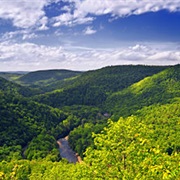 Worlds End State Park (Sullivan County)