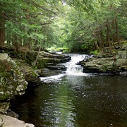 Promised Land State Park, Pennsylvania