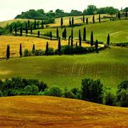 Val D'Orcia