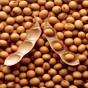 Soybeans